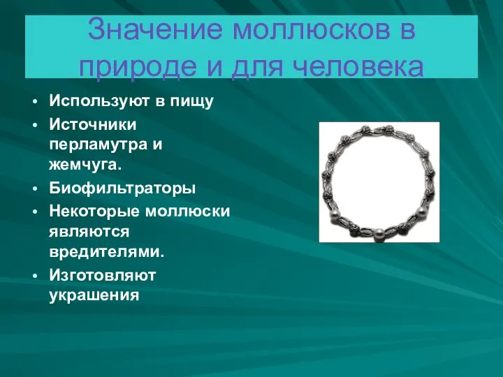 Значение моллюсков в природе и для человека Используют в пищу Источники