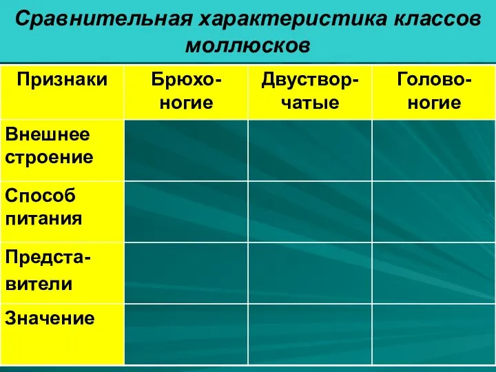 Сравнительная характеристика классов моллюсков Сравнительная характеристика классов моллюсков