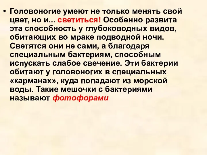 Головоногие умеют не только менять свой цвет, но и... светиться! Особенно