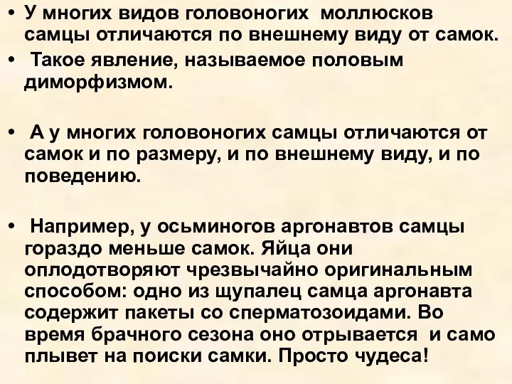 У многих видов головоногих моллюсков самцы отличаются по внешнему виду от