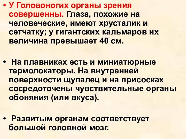 У Головоногих органы зрения совершенны. Глаза, похожие на человеческие, имеют хрусталик