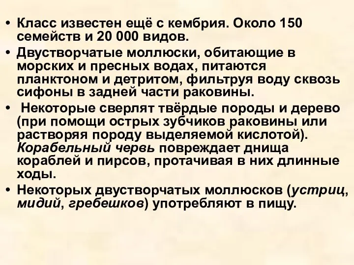 Класс известен ещё с кембрия. Около 150 семейств и 20 000