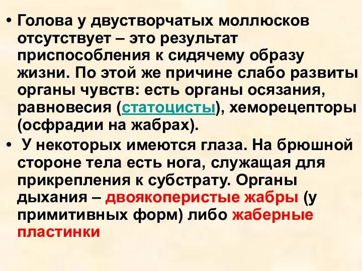 Голова у двустворчатых моллюсков отсутствует – это результат приспособления к сидячему