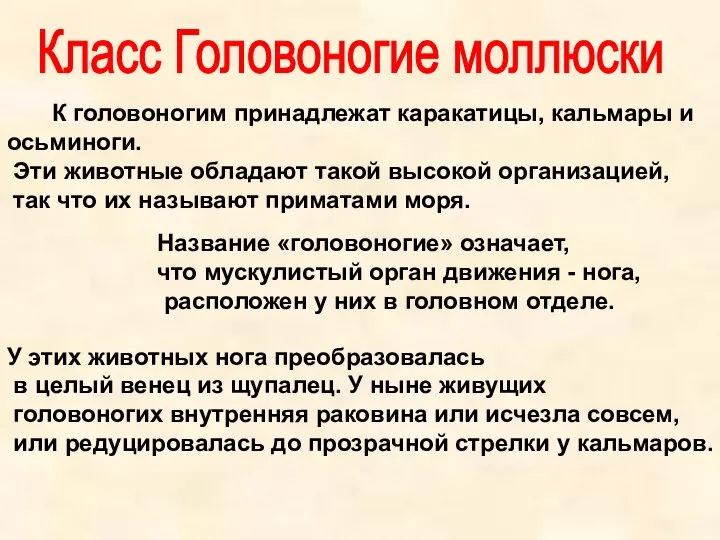 К головоногим принадлежат каракатицы, кальмары и осьминоги. Эти животные обладают такой