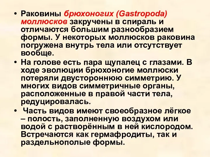 Раковины брюхоногих (Gastropoda) моллюсков закручены в спираль и отличаются большим разнообразием