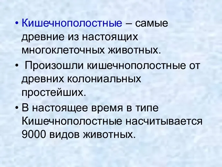 Кишечнополостные – самые древние из настоящих многоклеточных животных. Произошли кишечнополостные от