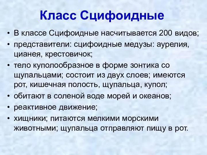 Класс Сцифоидные В классе Сцифоидные насчитывается 200 видов; представители: сцифоидные медузы: