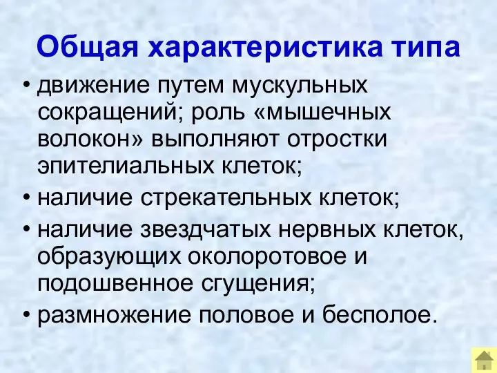 Общая характеристика типа движение путем мускульных сокращений; роль «мышечных волокон» выполняют