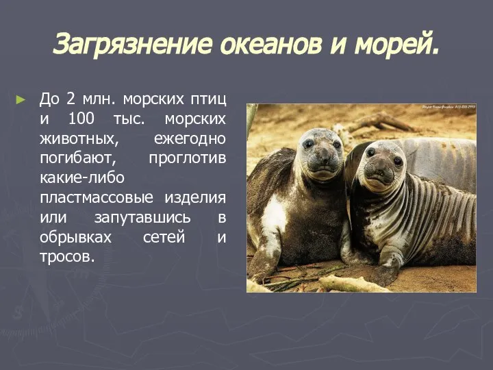 Загрязнение океанов и морей. До 2 млн. морских птиц и 100