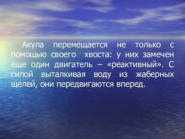 Акула перемещается не только с помощью своего хвоста: у них замечен