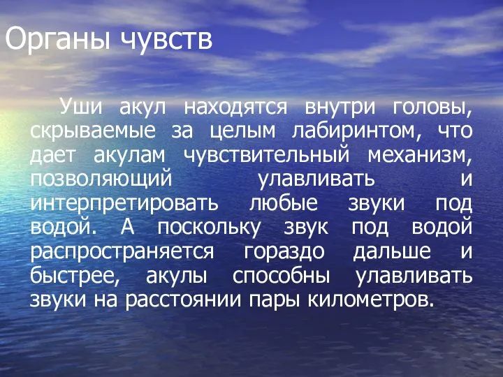 Органы чувств Уши акул находятся внутри головы, скрываемые за целым лабиринтом,