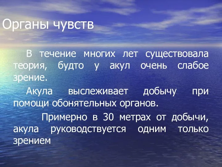 Органы чувств В течение многих лет существовала теория, будто у акул