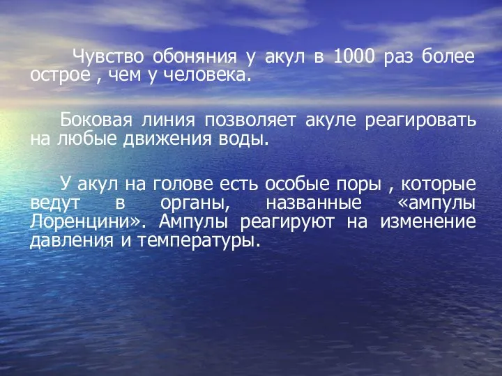 Чувство обоняния у акул в 1000 раз более острое , чем