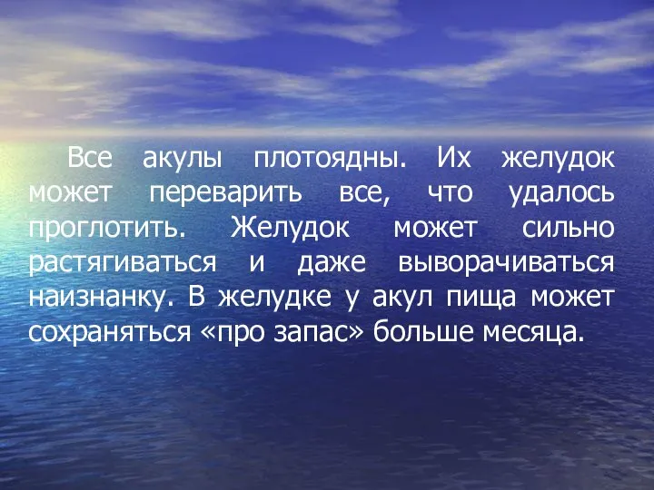 Все акулы плотоядны. Их желудок может переварить все, что удалось проглотить.