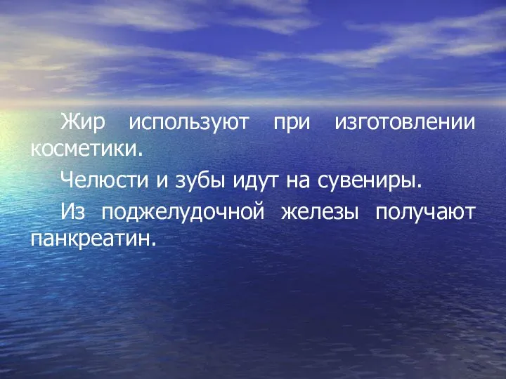 Жир используют при изготовлении косметики. Челюсти и зубы идут на сувениры. Из поджелудочной железы получают панкреатин.