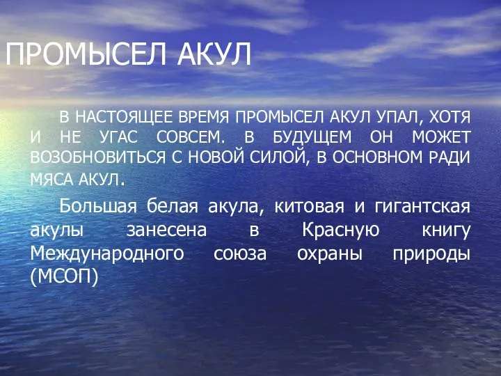 ПРОМЫСЕЛ АКУЛ В НАСТОЯЩЕЕ ВРЕМЯ ПРОМЫСЕЛ АКУЛ УПАЛ, ХОТЯ И НЕ