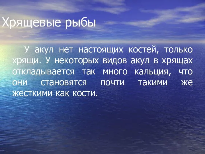 Хрящевые рыбы У акул нет настоящих костей, только хрящи. У некоторых