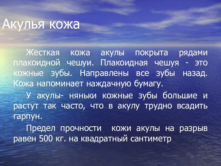 Акулья кожа Жесткая кожа акулы покрыта рядами плакоидной чешуи. Плакоидная чешуя