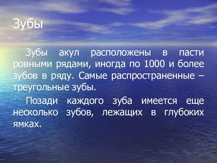 Зубы Зубы акул расположены в пасти ровными рядами, иногда по 1000