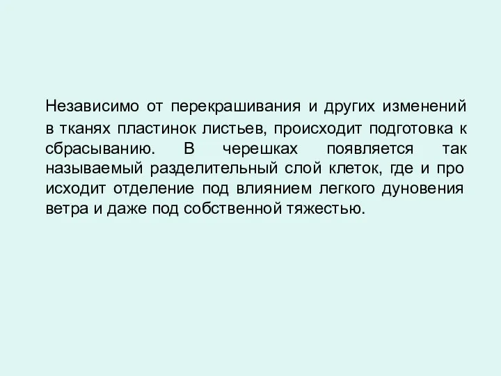 Независимо от перекрашивания и других изменений в тканях пластинок листьев, происходит