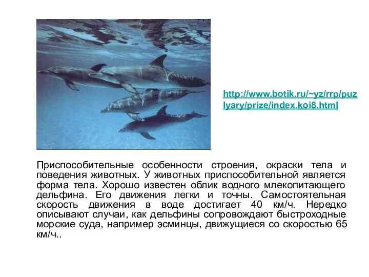 Приспособительные особенности строения, окраски тела и поведения животных. У животных приспособительной