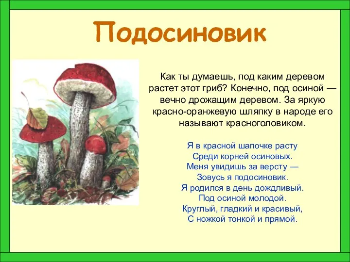 Подосиновик Как ты думаешь, под каким деревом растет этот гриб? Конечно,