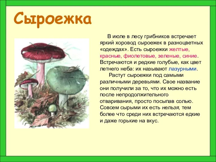 Сыроежка В июле в лесу грибников встречает яркий хоровод сыроежек в