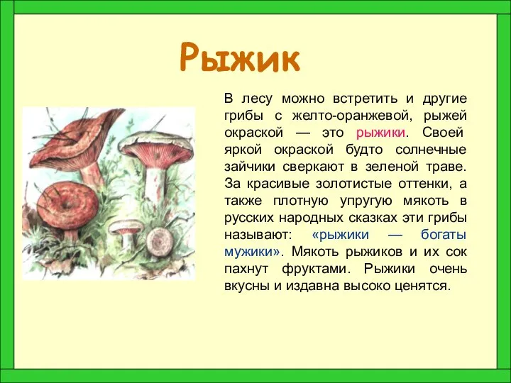 Рыжик В лесу можно встретить и другие грибы с желто-оранжевой, рыжей