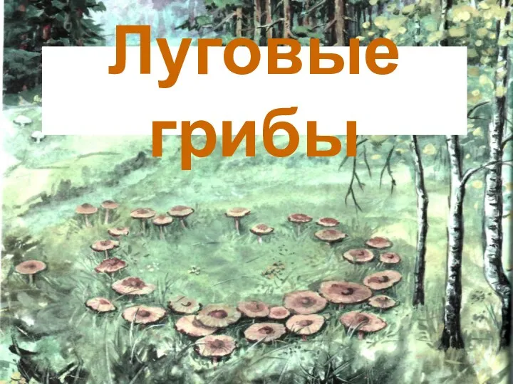 Луговые грибы