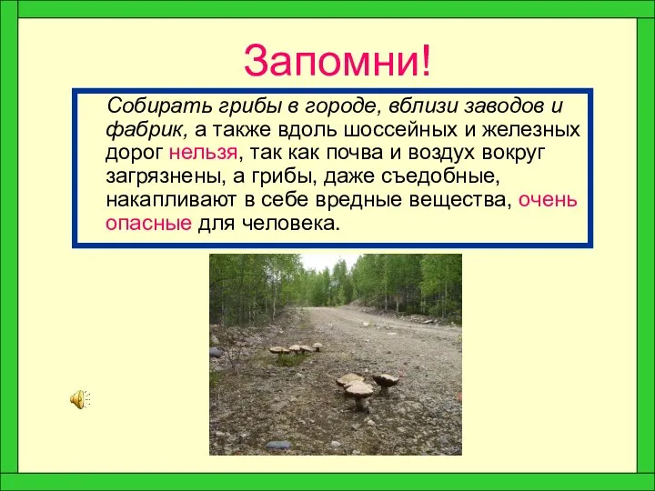 Запомни! Собирать грибы в городе, вблизи заводов и фабрик, а также