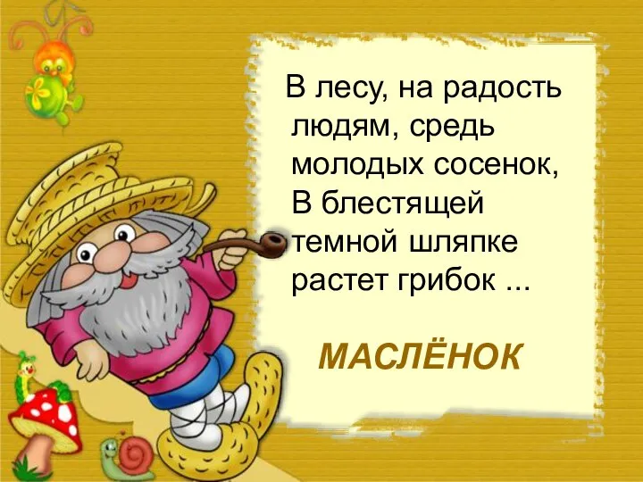 В лесу, на радость людям, средь молодых сосенок, В блестящей темной шляпке растет грибок ... МАСЛЁНОК