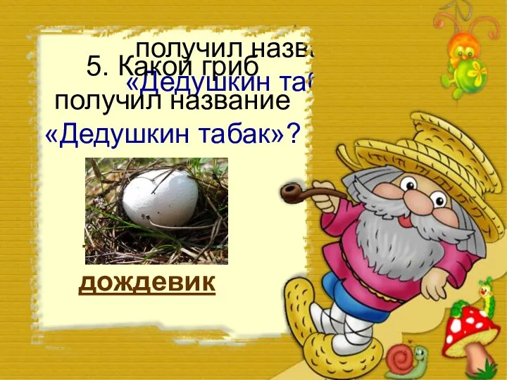 5. Какой гриб получил название «Дедушкин табак»? 5. Какой гриб получил