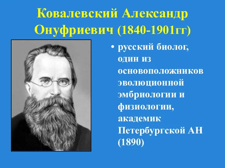 Ковалевский Александр Онуфриевич (1840-1901гг) русский биолог, один из основоположников эволюционной эмбриологии