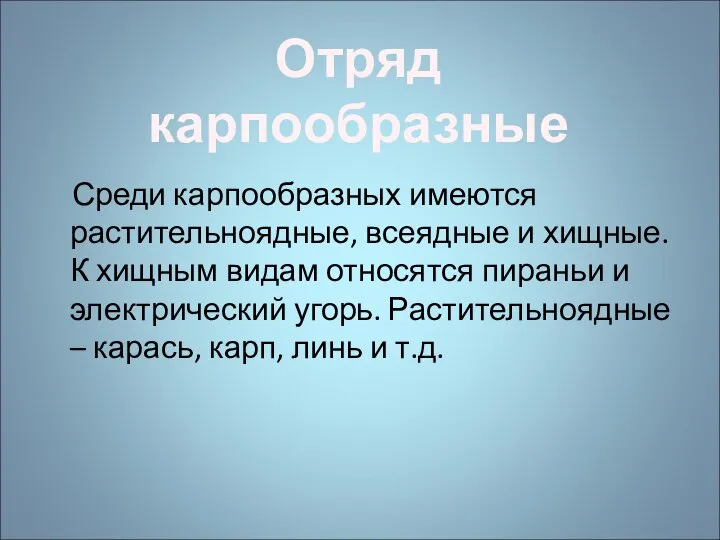 Среди карпообразных имеются растительноядные, всеядные и хищные. К хищным видам относятся