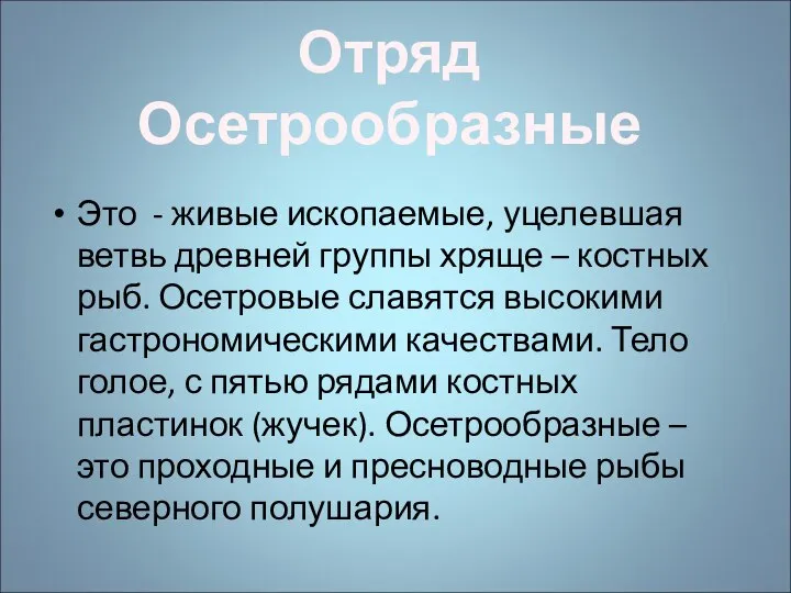 Это - живые ископаемые, уцелевшая ветвь древней группы хряще – костных