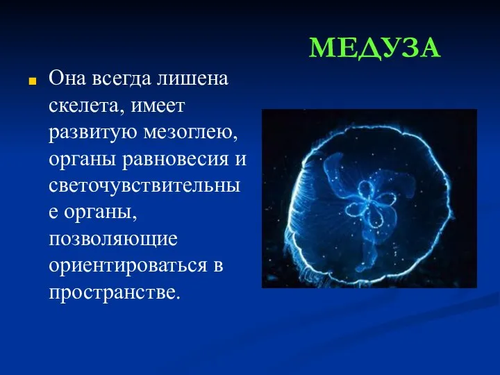 Она всегда лишена скелета, имеет развитую мезоглею, органы равновесия и светочувствительные