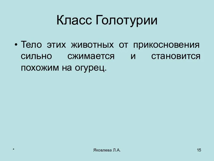 * Яковлева Л.А. Класс Голотурии Тело этих животных от прикосновения сильно