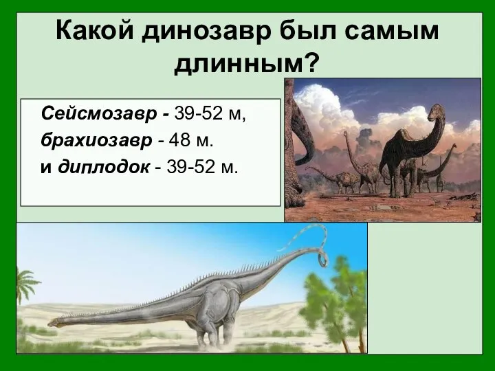 Какой динозавр был самым длинным? Сейсмозавр - 39-52 м, брахиозавр -