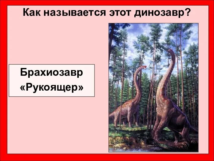 Как называется этот динозавр? Брахиозавр «Рукоящер»