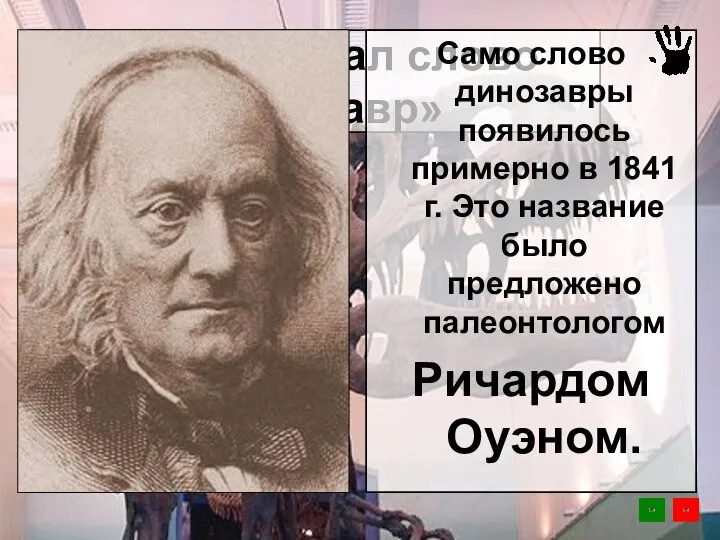 Кто придумал слово «динозавр» Само слово динозавры появилось примерно в 1841