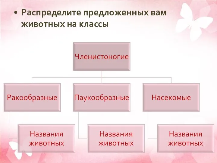 Распределите предложенных вам животных на классы