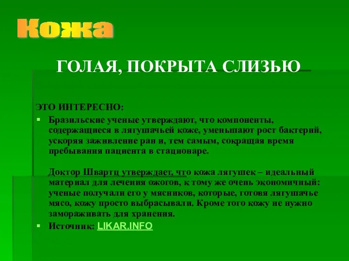 ЭТО ИНТЕРЕСНО: Бразильские ученые утверждают, что компоненты, содержащиеся в лягушачьей коже,