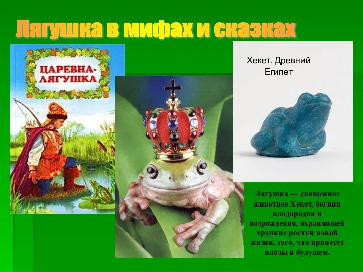 Лягушка в мифах и сказках Лягушка — священное животное Хекет, богини