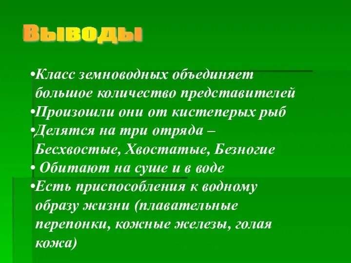 Выводы Класс земноводных объединяет большое количество представителей Произошли они от кистеперых