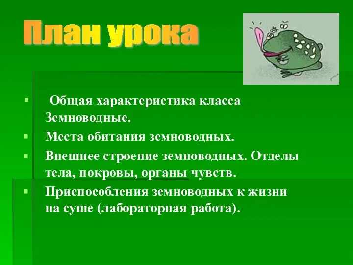 Общая характеристика класса Земноводные. Места обитания земноводных. Внешнее строение земноводных. Отделы