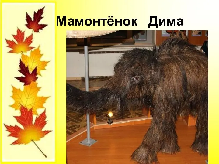 Мамонтёнок Дима