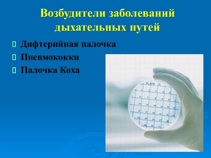 Возбудители заболеваний дыхательных путей Дифтерийная палочка Пневмококки Палочка Коха