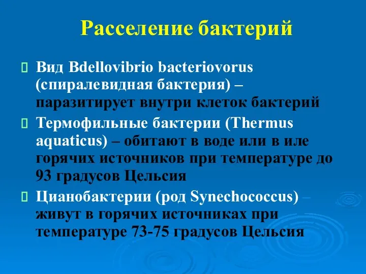 Расселение бактерий Вид Bdellovibrio bacteriovorus (спиралевидная бактерия) – паразитирует внутри клеток