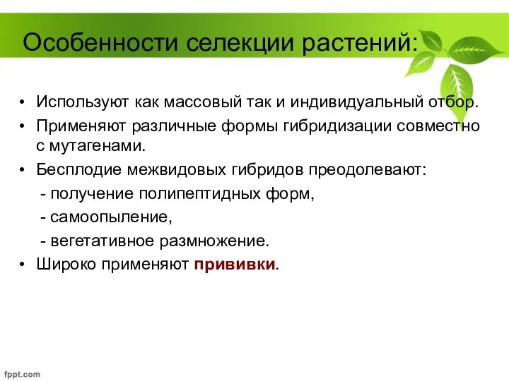 Особенности селекции растений: Используют как массовый так и индивидуальный отбор. Применяют