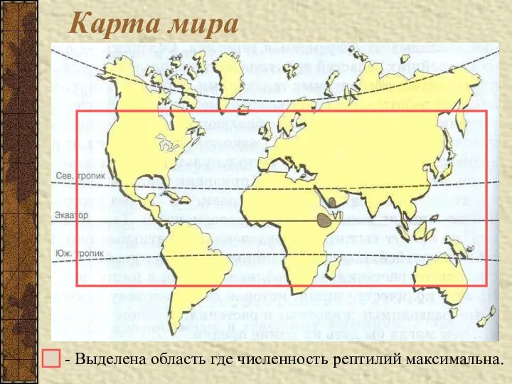 - Выделена область где численность рептилий максимальна. Карта мира